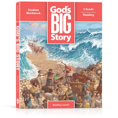God's Big Story Level 5...