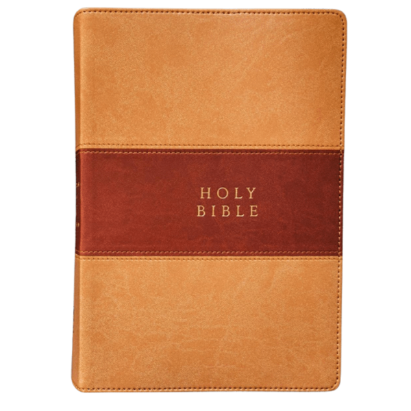 copy of The Reformation Heritage KJV Study Bible (Brown/Gray Leather-Like)